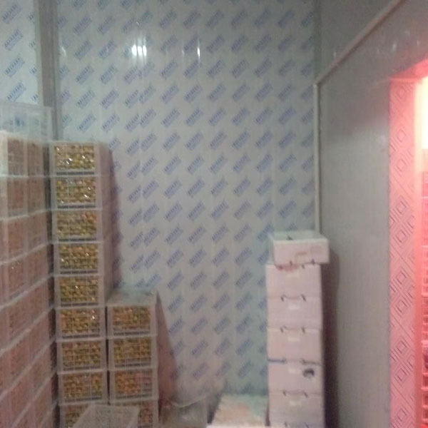 永兴冷库安装案例